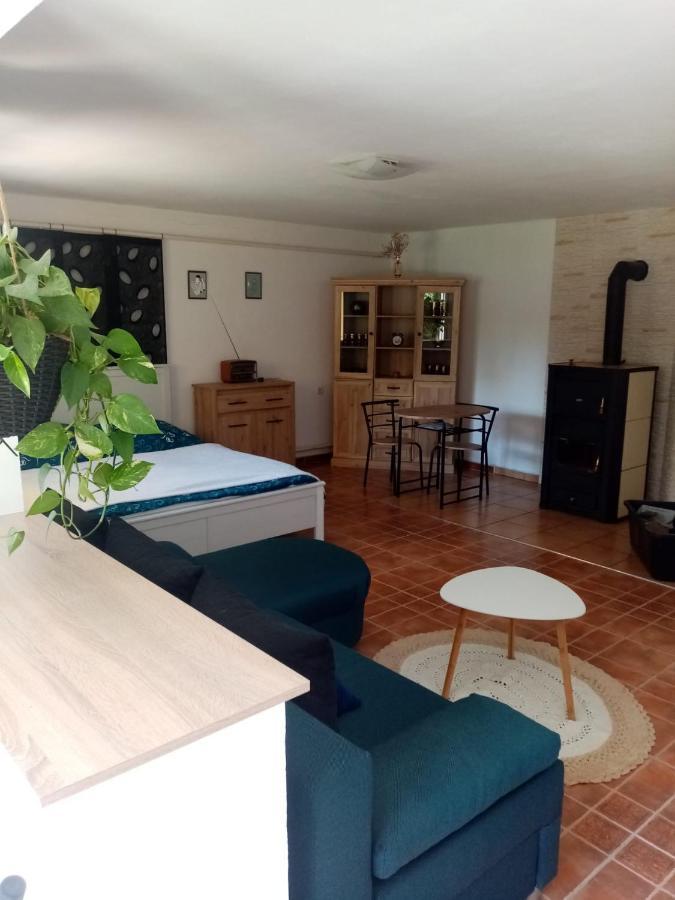 דירות רומבורק Apartman Ivana מראה חיצוני תמונה